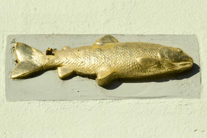 De vergulde steur op de gevel van De Kleine Steur